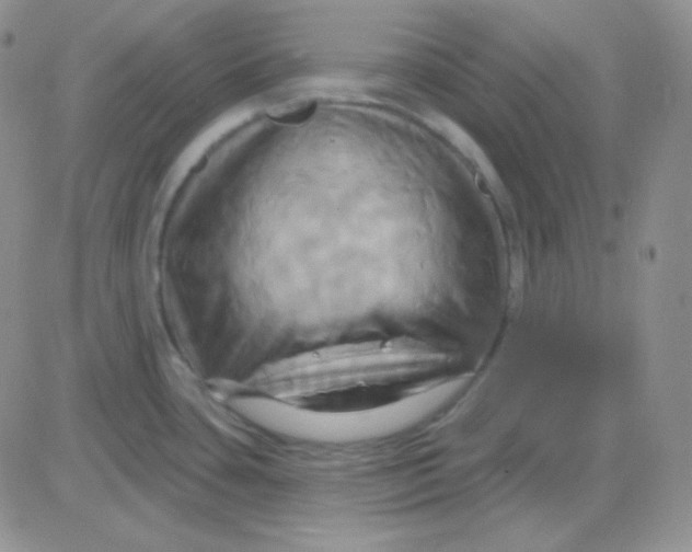 X0000083041435200702231918