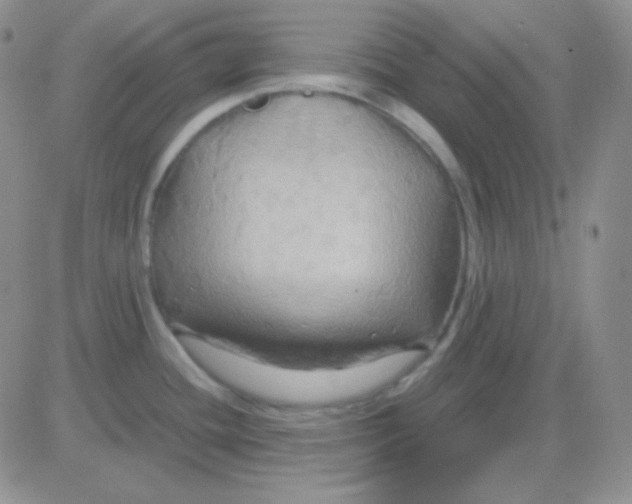 X0000083041436200702231918