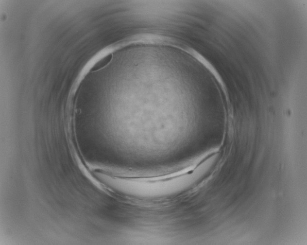 X0000083041437200702231918