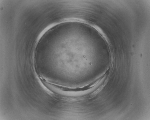 X0000083041438200702231918