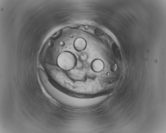 X0000083041439200702231918