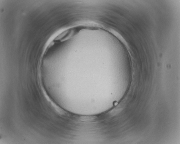 X0000083041440200702231918