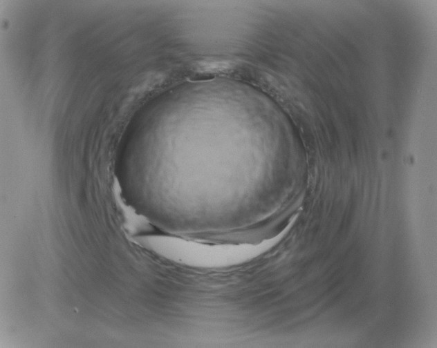 X0000083041441200702231917