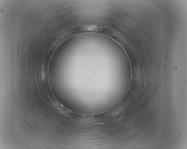 X0000083041442200702231917