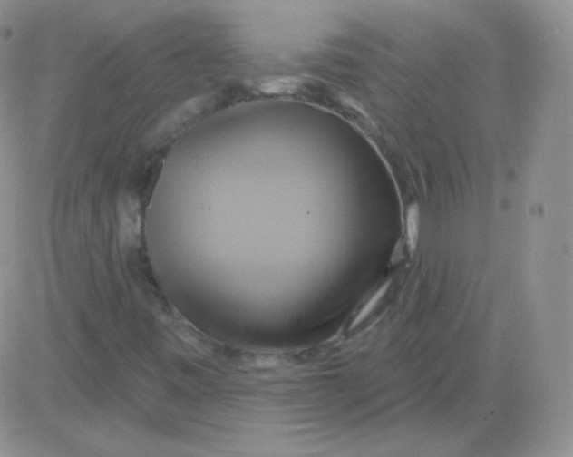 X0000083041443200702231917