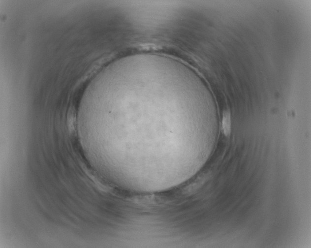 X0000083041444200702231917