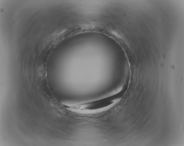 X0000083041445200702231917