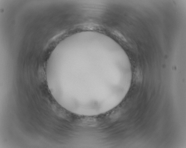 X0000083041446200702231917