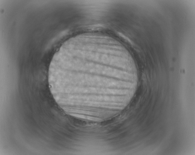 X0000083041447200702231917