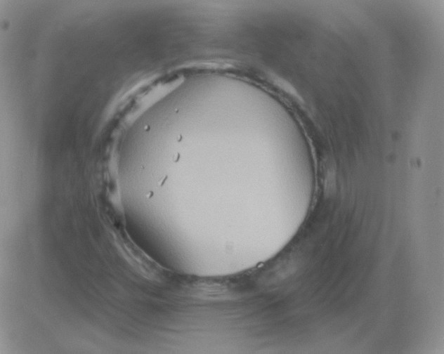 X0000083041448200702231917