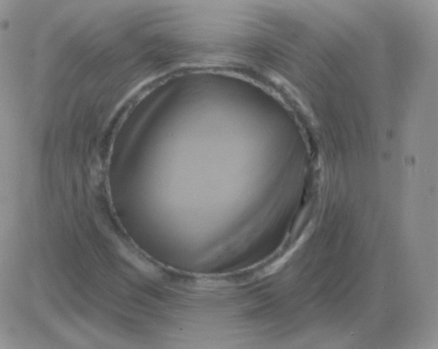 X0000083041449200702231917