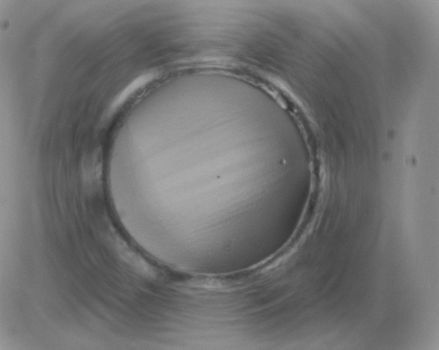 X0000083041450200702231917