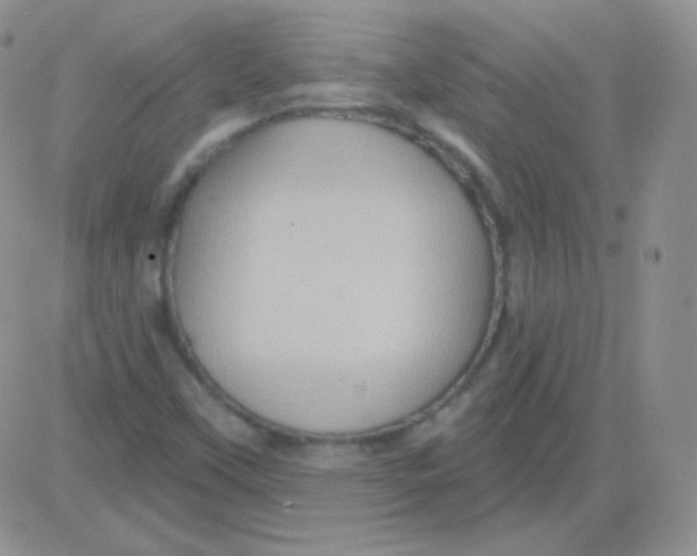 X0000083041451200702231917