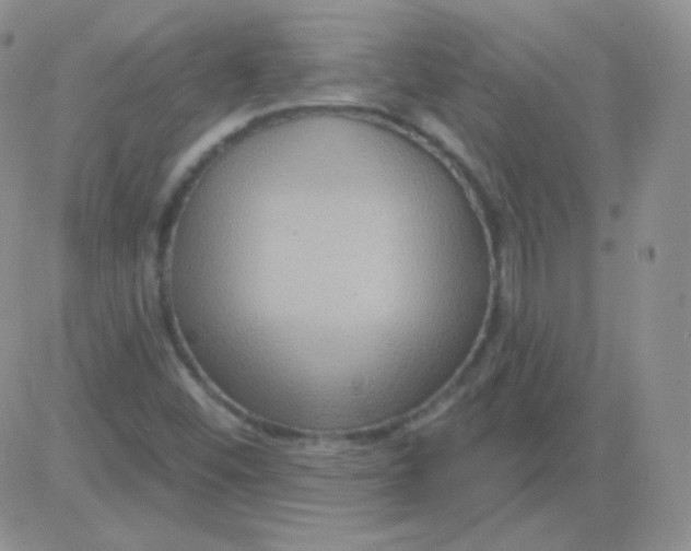 X0000083041452200702231917