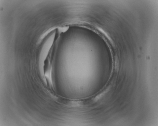 X0000083041453200702231917