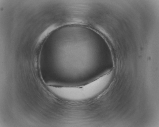 X0000083041455200702231917