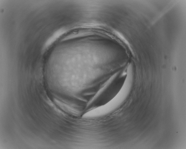 X0000083041456200702231917