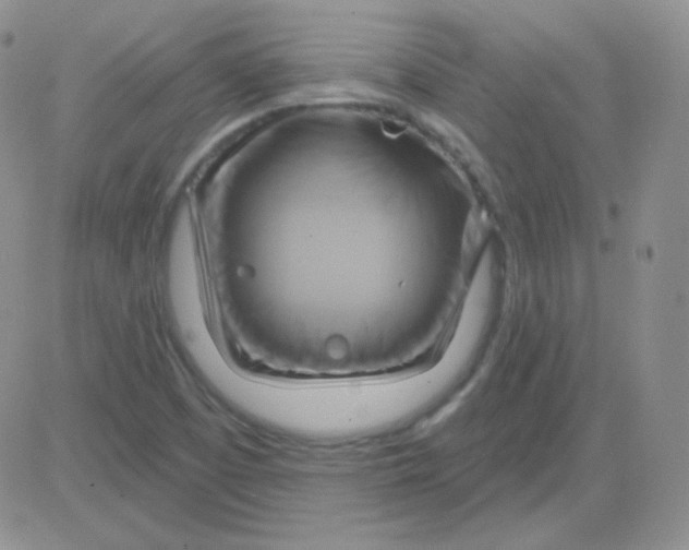 X0000083041457200702231917