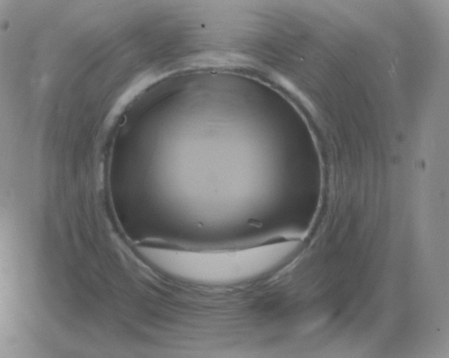 X0000083041459200702231917