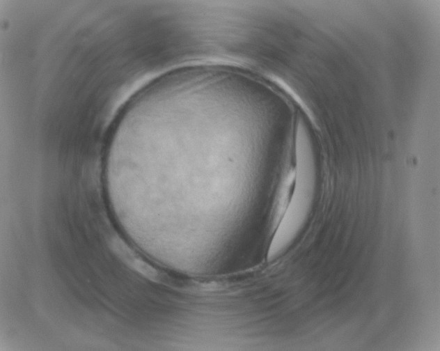 X0000083041460200702231917