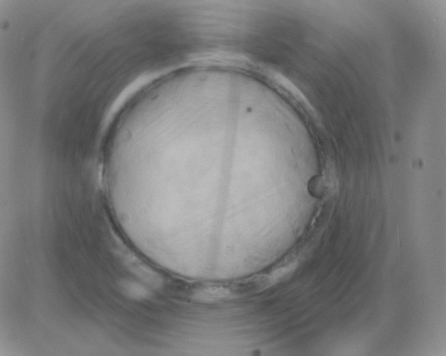 X0000083041462200702231917