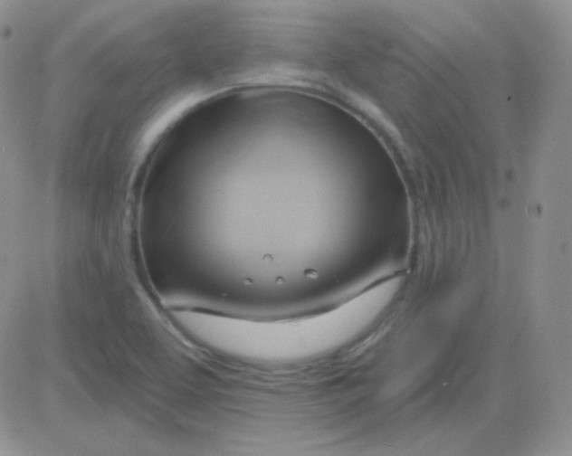 X0000083041463200702231917