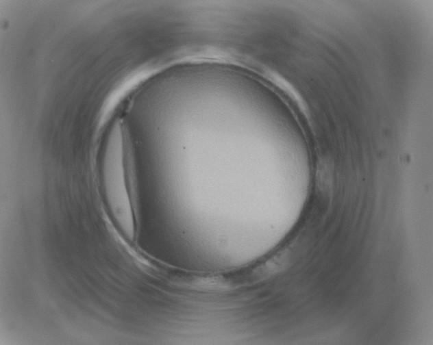 X0000083041464200702231917