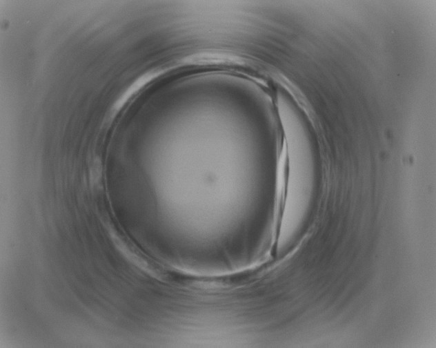 X0000083041465200702231917