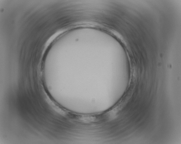 X0000083041466200702231917