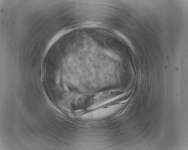 X0000083041467200702231917