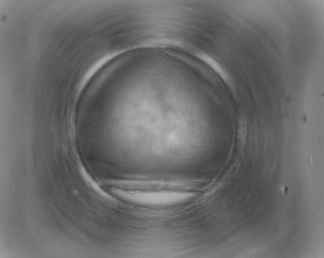 X0000083041468200702231917