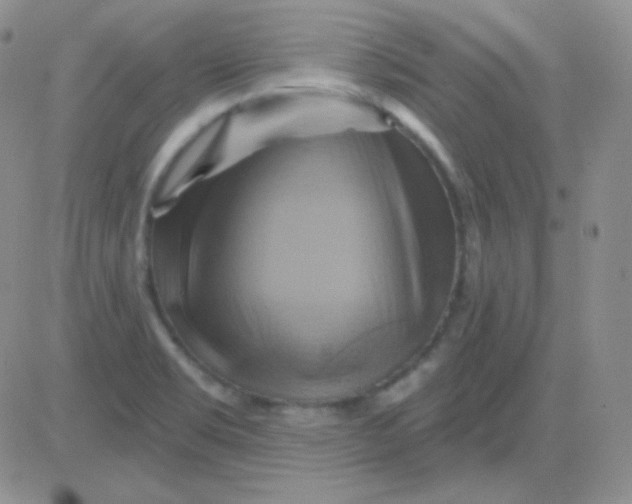 X0000083041469200702231917