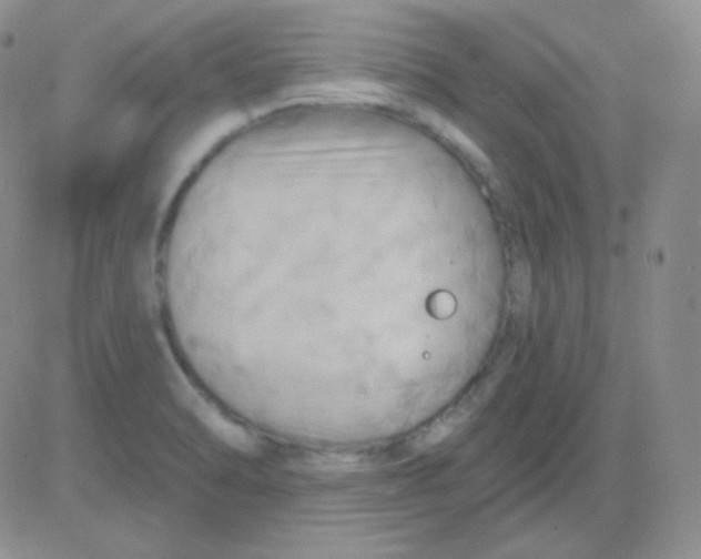 X0000083041470200702231917