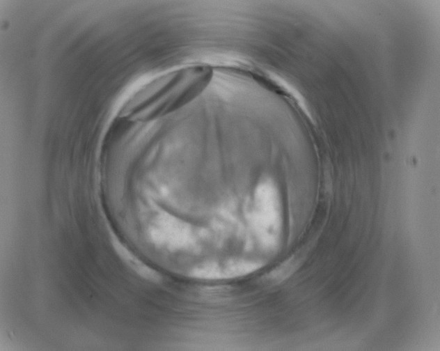 X0000083041471200702231917