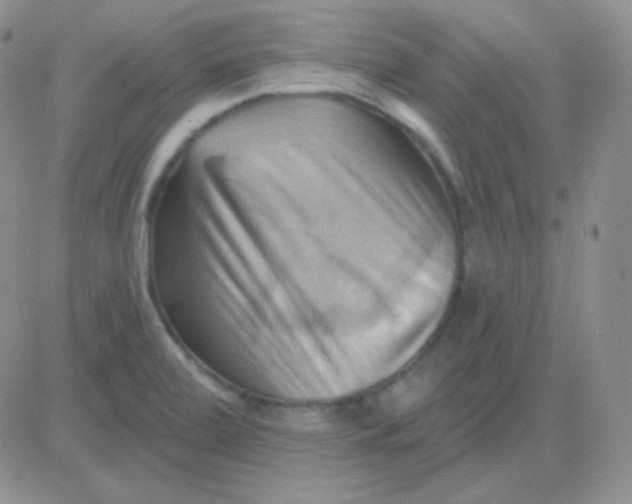 X0000083041472200702231917