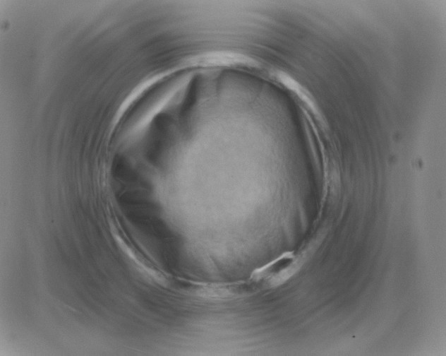 X0000083041473200702231917