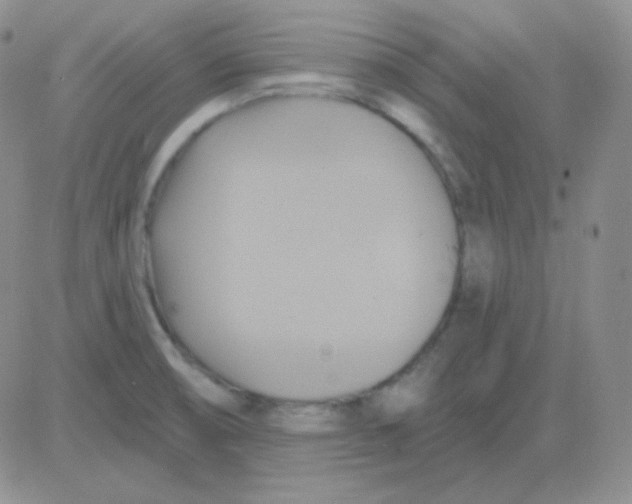 X0000083041474200702231917