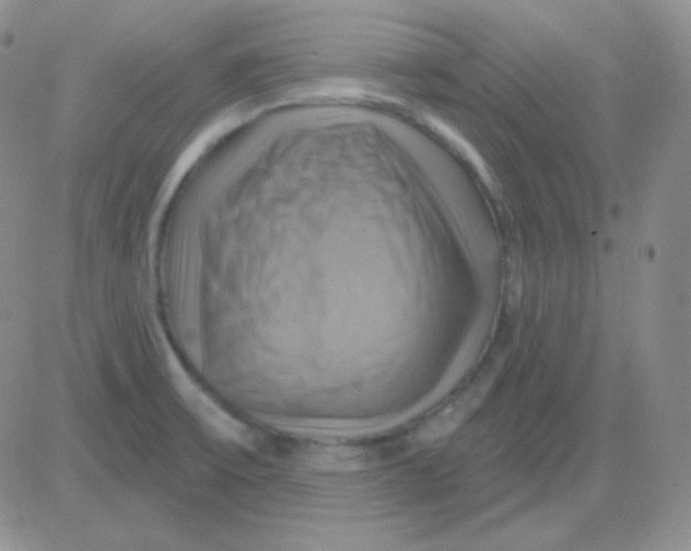 X0000083041475200702231917