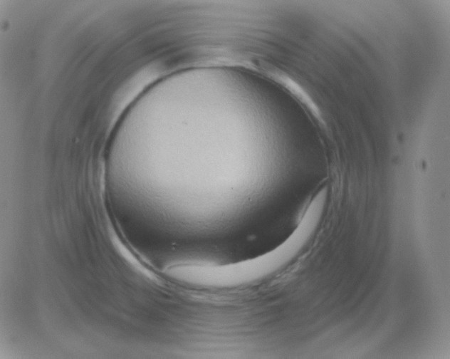 X0000083041476200702231917