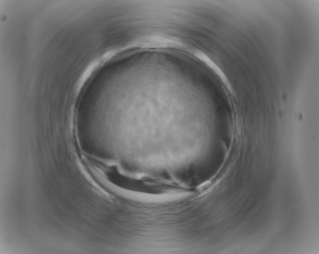 X0000083041477200702231917