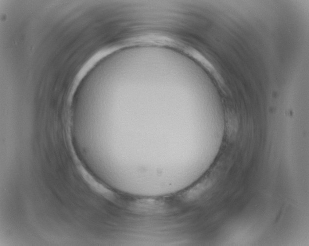 X0000083041478200702231917