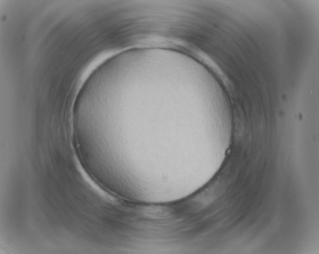 X0000083041479200702231917