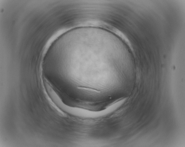 X0000083041480200702231917