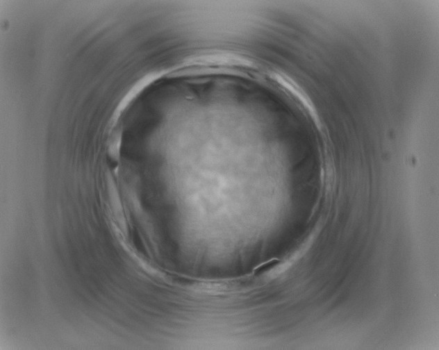 X0000083041481200702231917