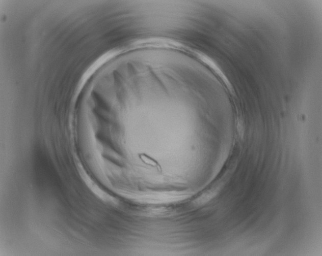 X0000083041482200702231917