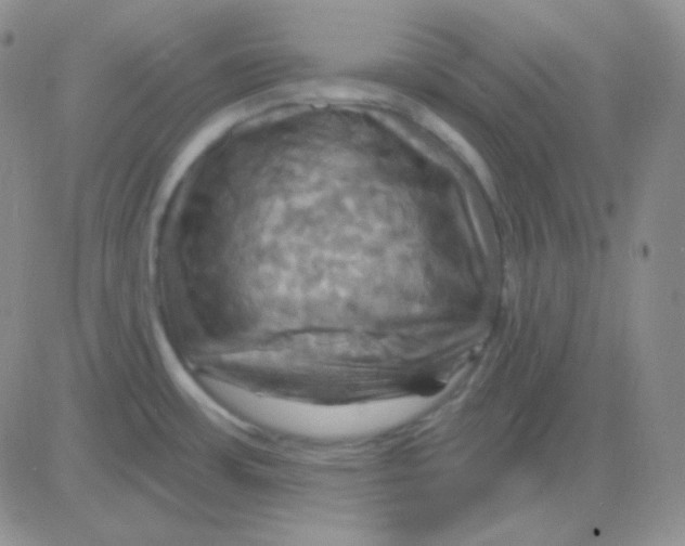 X0000083041483200702231917