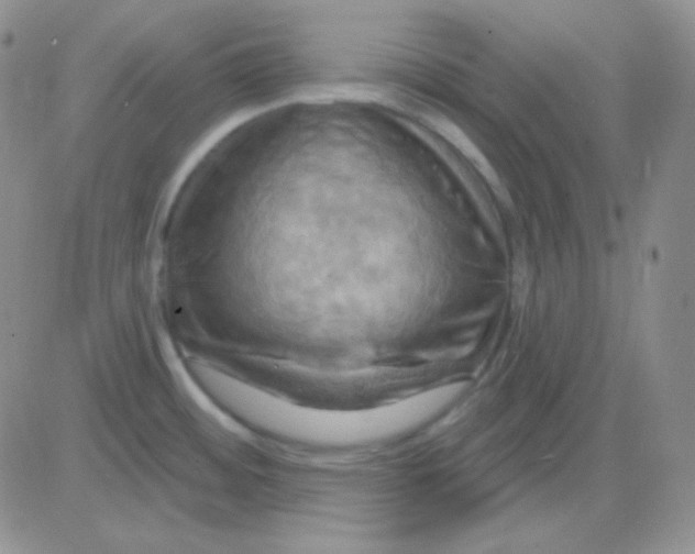 X0000083041484200702231917