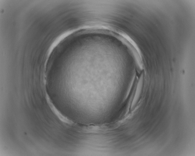 X0000083041485200702231917