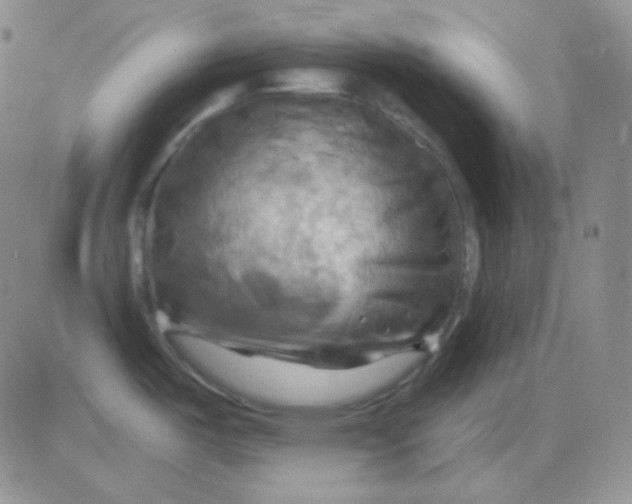 X0000083041487200702231917