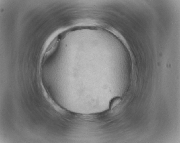 X0000083041488200702231917